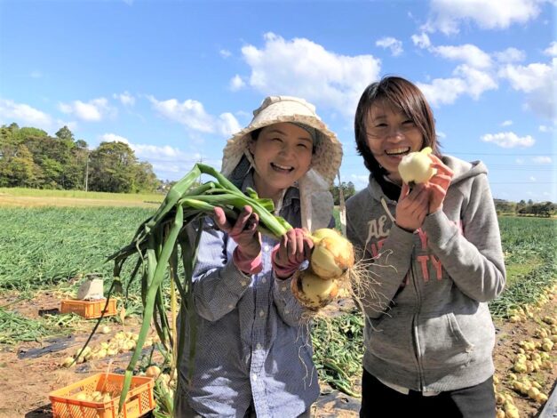 【お知らせ】従業員交流・親子イベントに！5月「玉ねぎ狩り」収穫体験がパッケージ化！受付開始