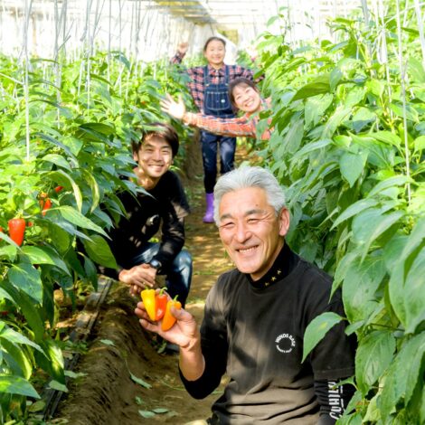 agri new winds（茨城県）